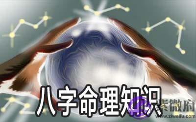 八字命理知识详解