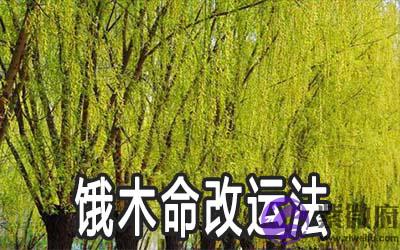 饿木命改运法解析