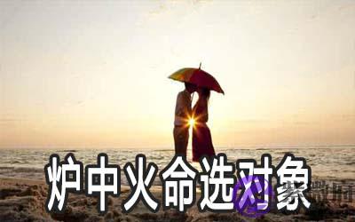炉中火命的人选什麽样的对象好
