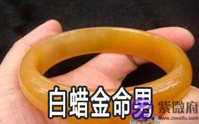 白蜡金命的男人怎麽样