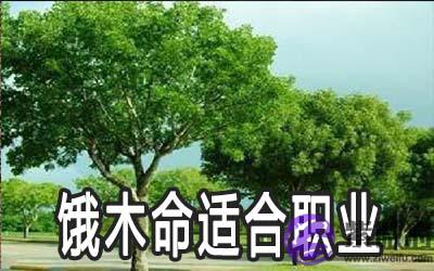 饿木命人适合什麽职业