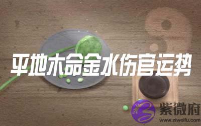 平地木命的人金水伤官运势如何 平地木命的人金水伤官运势如何