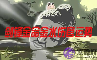 剑锋金命的人金水伤官运势如何