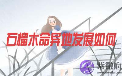 石榴木命的人在异地发展怎麽样