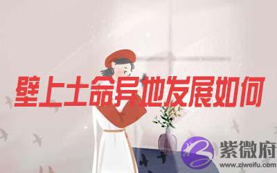壁上土命的人在适合在异地生活创业吗
