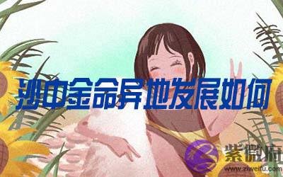 沙中金命的人在异地发展怎麽样