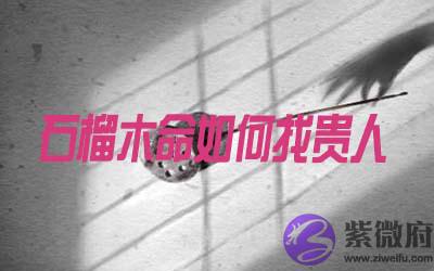 石榴木命的人怎麽找到贵人