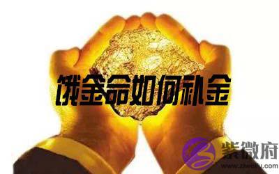 饿金命的人如何补金