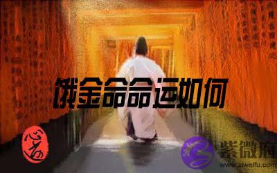 饿金命的人命运如何
