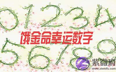 饿金命人的幸运数字是什麽