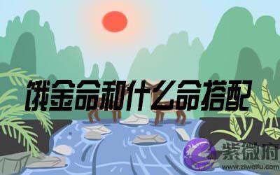 饿金命和什麽命搭配比较好