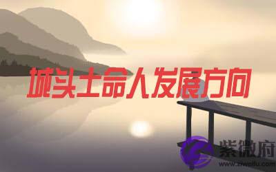 城头土命的人适合什麽样的发展方向