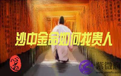 沙中金命的人怎麽找到贵人