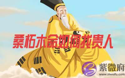 桑柘木命的人怎麽找到贵人