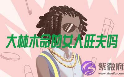 大林木命的女人旺夫吗