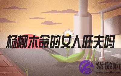 杨柳木命的女人旺夫吗
