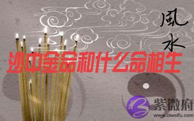 沙中金命和什麽命相生