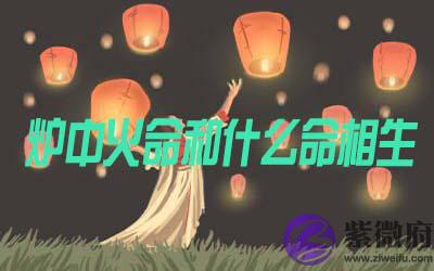 炉中火命和什麽命相生