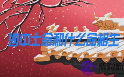 沙中土命和什麽命相生