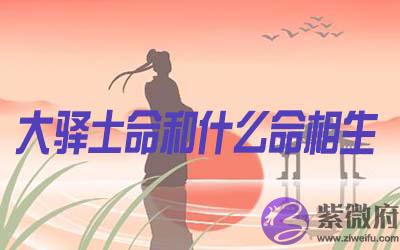 大驿土命和什麽命相生