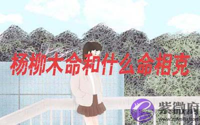 杨柳木命和什麽命相克