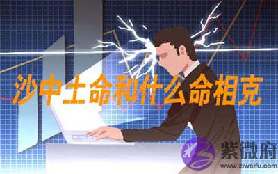 桑柘木命和什麽命相克