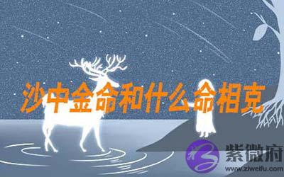 五行属性查询 沙中金命和什麽命相克