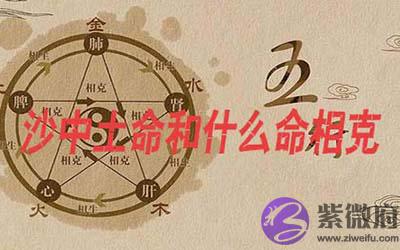 沙中土命和什麽命相克