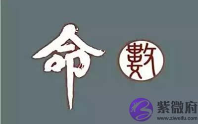 命运的定数与变数是什麽