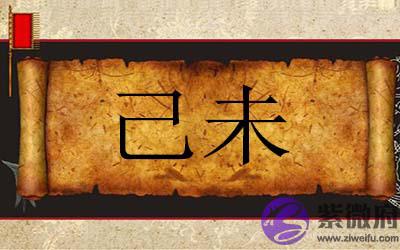 己未年出生人的命运详解