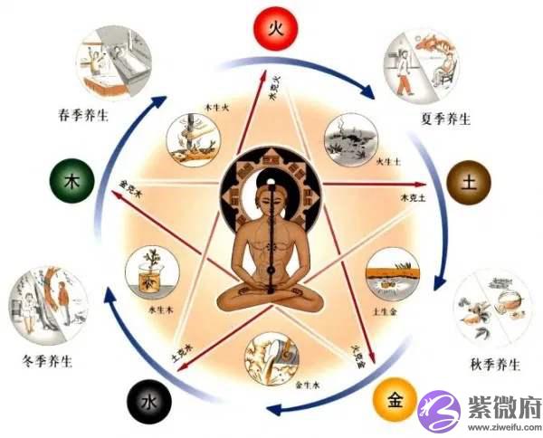 五脏与对应的五行有什麽关系
