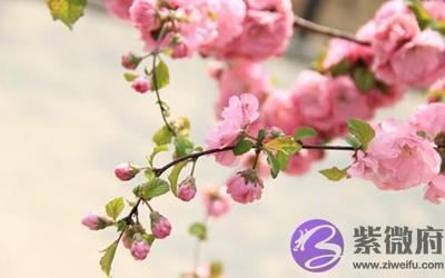 这四种命格这辈子必定会有旺盛的桃花运