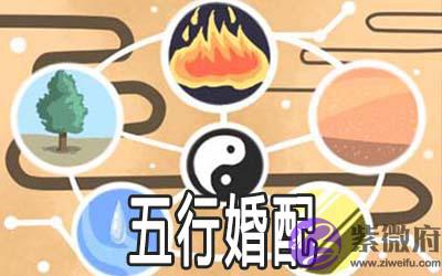 金木水火土婚配表