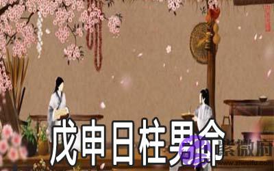 戊申日柱男命桃花运好不好