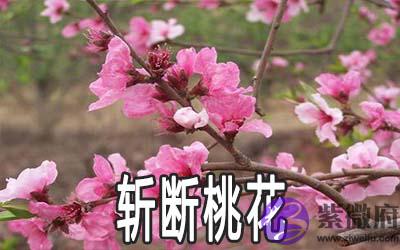斩断桃花的方法是什麽 