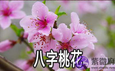八字命理代表桃花的有哪些