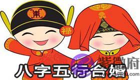 八字五行合婚