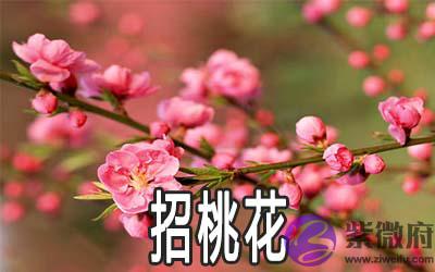 这几种单身的人招桃花的方法值得一看