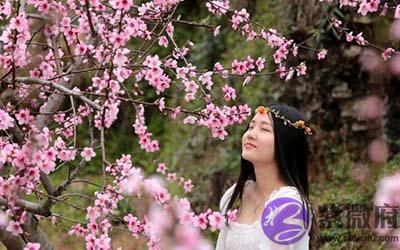 八字如何分析子午卯酉桃花