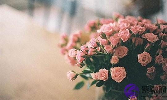 什麽时辰出生桃花运比较好 什麽时辰出生桃花运比较好