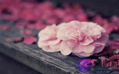 八字看你命中有多少桃花