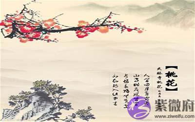 八字看你何时会走桃花运 八字看你何时会走桃花运