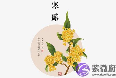 020年寒露前生娃好吗?寒露出生的人太阳之子吗?"