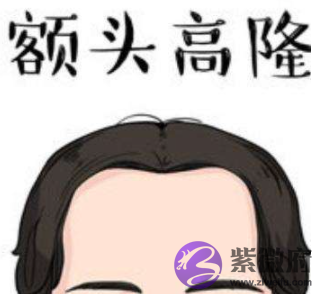 额头高的人命运如何?额头高的人聪明有科学依据吗?