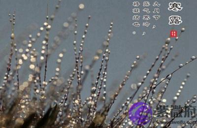 020寒露出生的命运好不好?寒露出生什麽星座?"