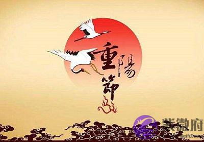 宝宝在2020庚子鼠年重阳节丑时出生是什幺命？