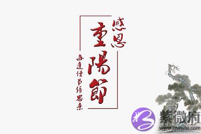 宝宝在2020鼠年重阳节子时出生宝宝命理及喜用神解析出生好不好?