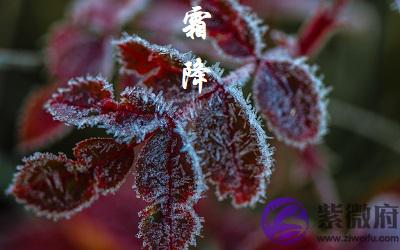 宝宝在2020鼠年霜降节气前一天九月初六日求嗣适合吗?出生怎幺样?