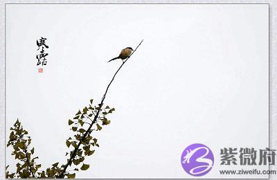 宝宝在2020年寒露节气申时出生好不好?