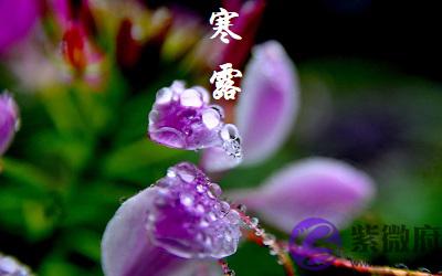 020庚子鼠年寒露节气酉时出生喜用神是什麽命如何?"